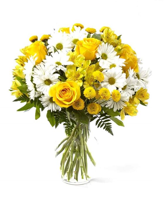 Envio y venta de flores ,rosas, plantas,arreglos florales ,regalos y desayunos a domicilio con delivery gratis en la Ciudad Autonoma de Buenos Aires y con costo de env�o en localidades del Gran Buenos Aires asi como delivery de flores y plantas a trav�s de florerias asociadas en todas las provincias de la Argentina, Buenos Aires, la Pampa, Tucuman, La Rioja, R�o Negro, Entre Rios, Corrientes, Misiones, Neuquen, Chubut, Tierra del Fuego, Santa Cruz, San Luis, Mendoza, Cordoba, Jujuy, Formosa, Santiago del Estero, Salta, Chaco, Catamarca ,San Juan, y ademas realizamos el delivery de flores ,coronas,palmas , plantas y regalos a todas las ciudades de Argentina, Mar del Plata, C�rdoba, Buenos Aires, con cargo en Santa Rosa, La Plata, Bella Vista, Neuquen, Pilar, Paran�, Posadas, Resistencia, Cipolleti y mas de 300 ciudades y localidades en todo el territorio de nuestro pa�s, asi como tambien tenemos la posibilidad de enviar flores a casi todo el mundo en cuestion de horas